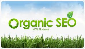 Organic SEO Services